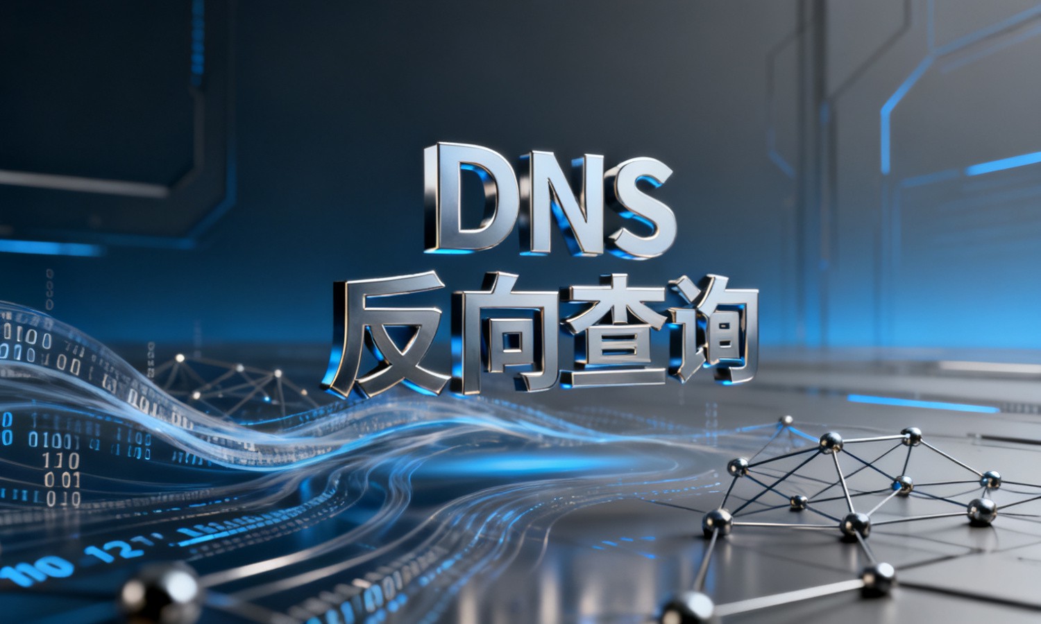 DNS反向查询