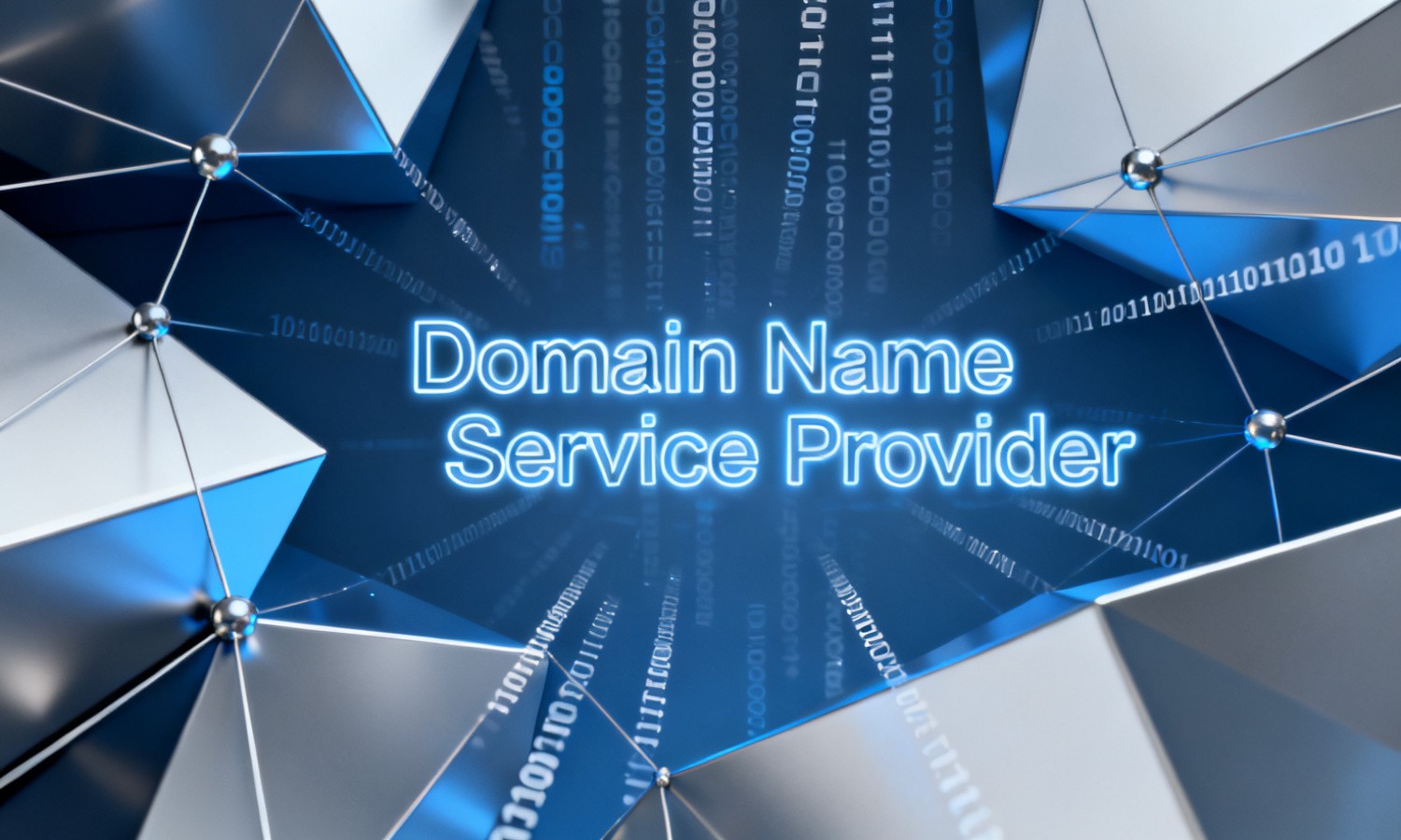 Domain Name Service Provider