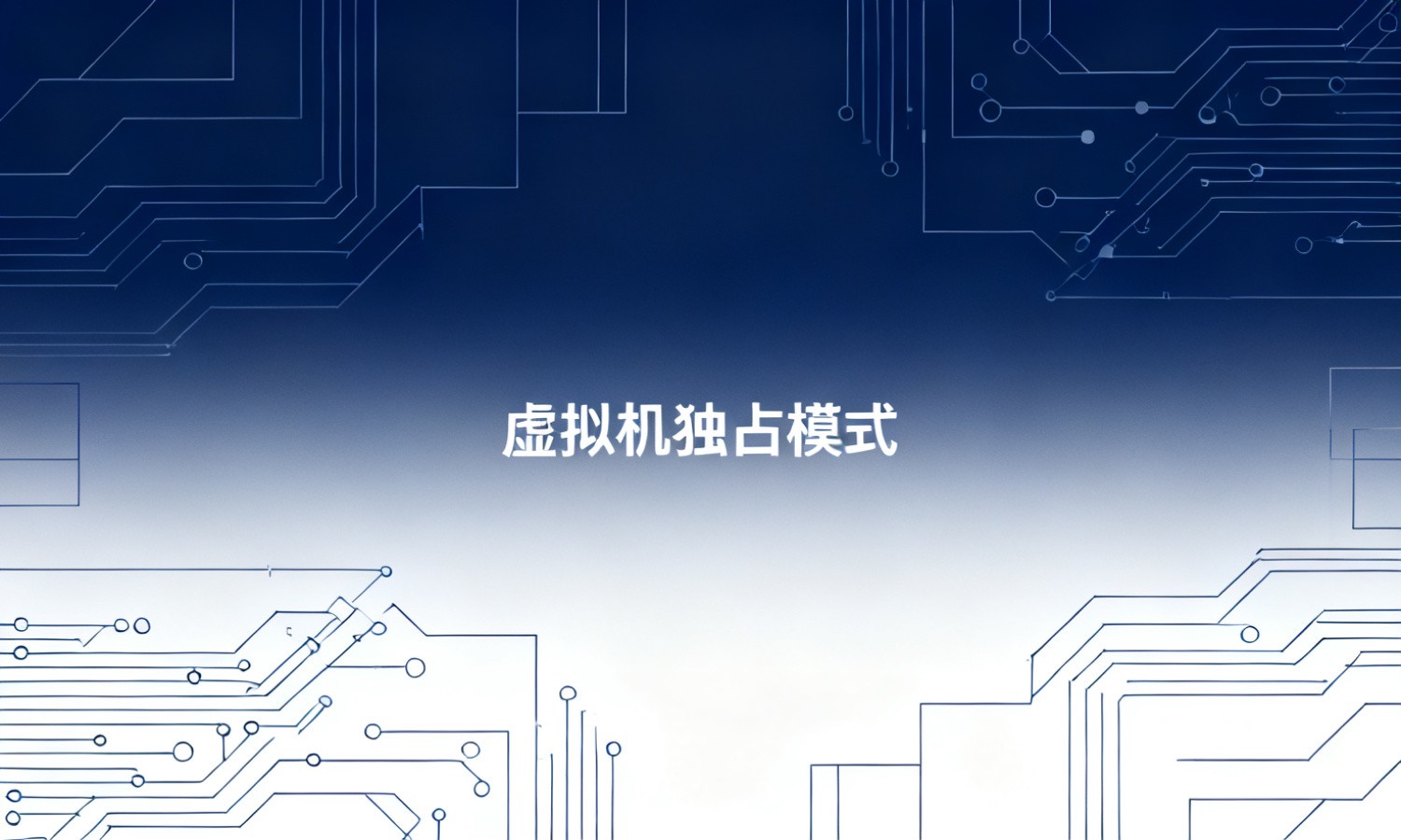 虚拟机独占模式