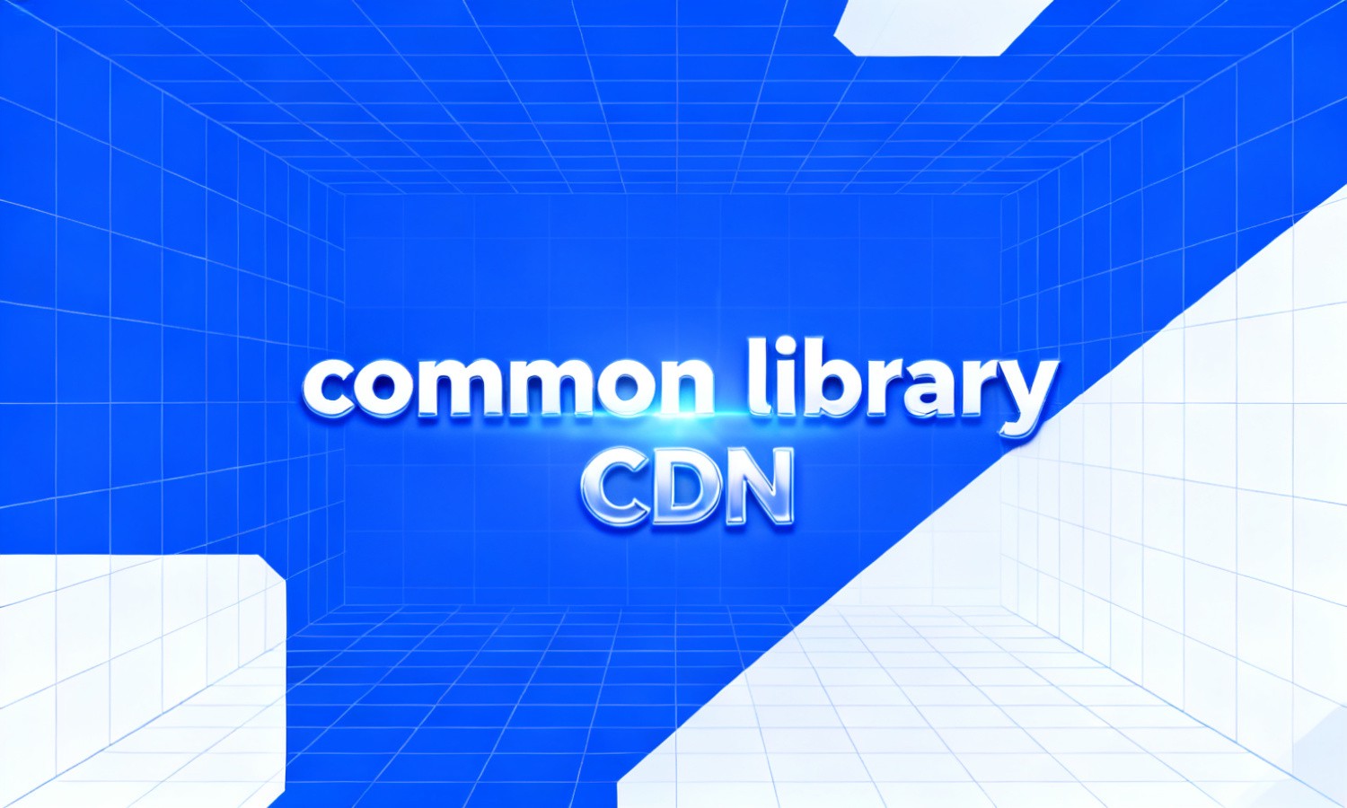 common library CDN