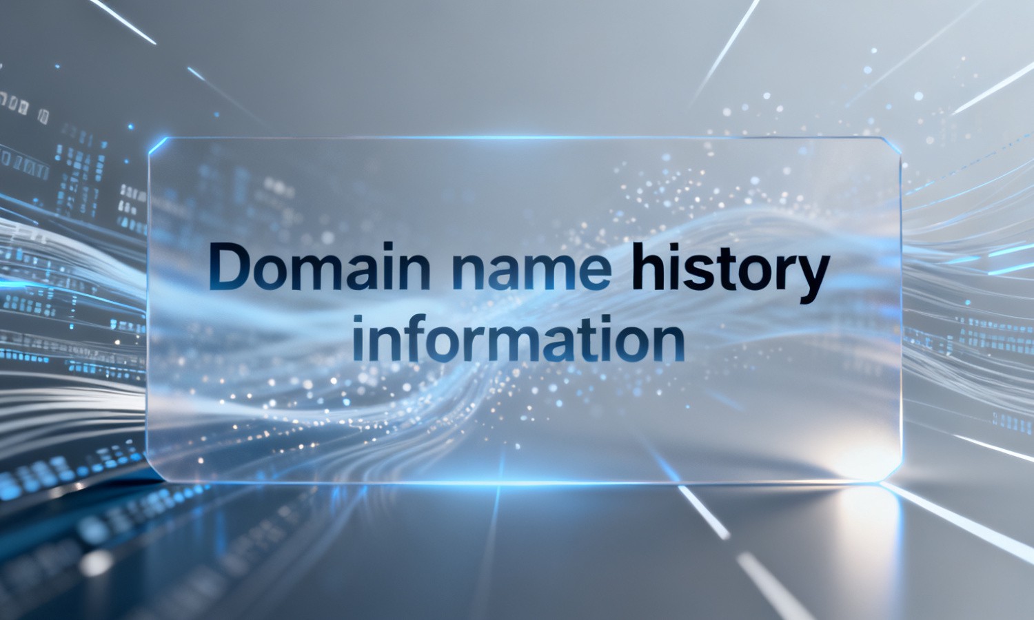 Domain name history information
