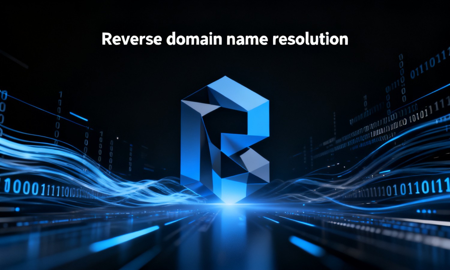 Reverse domain name resolution
