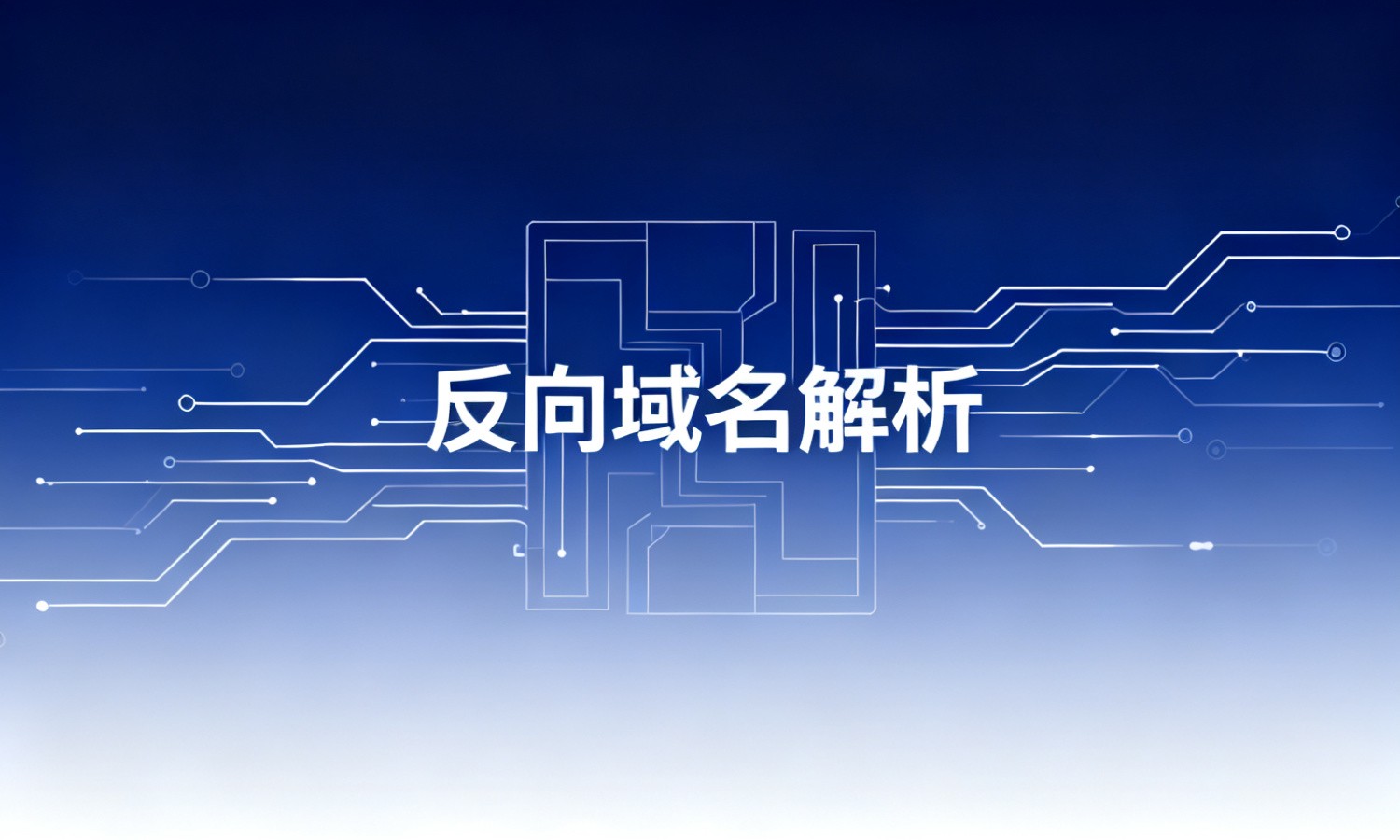 反向域名解析