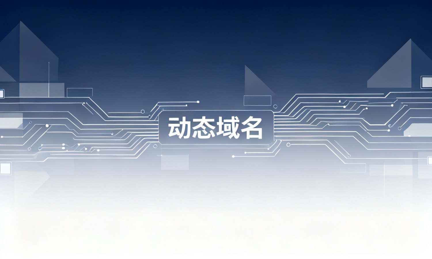 动态域名