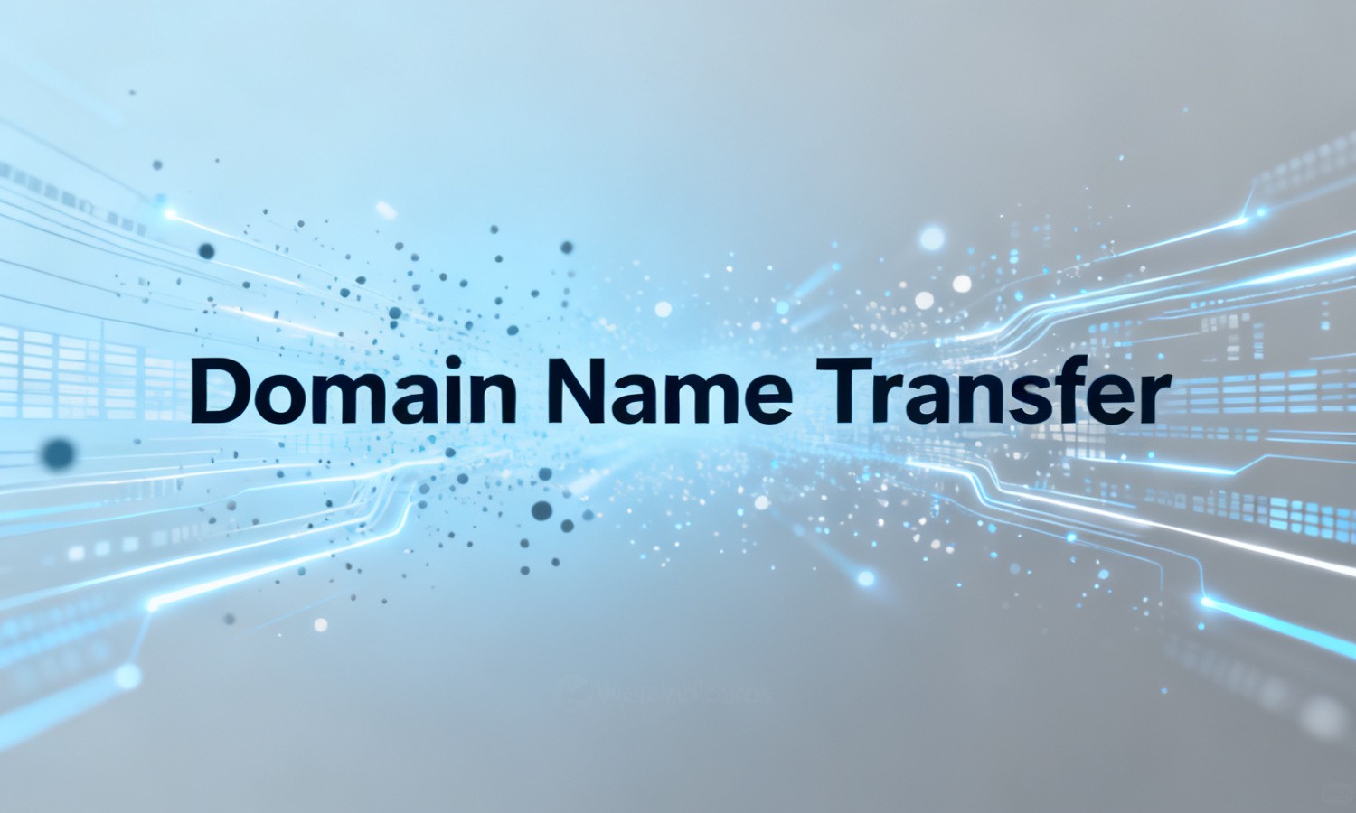 Domain Name Transfer