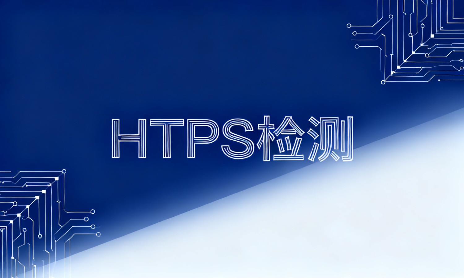 HTTPS检测