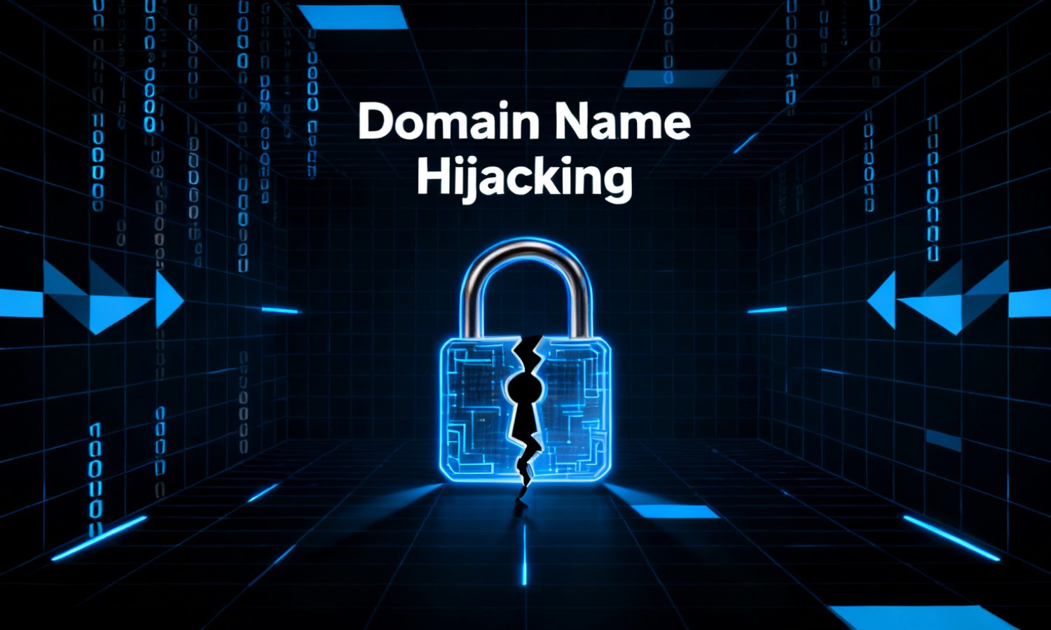 Domain Name Hijacking