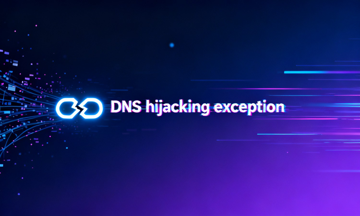 DNS hijacking exception