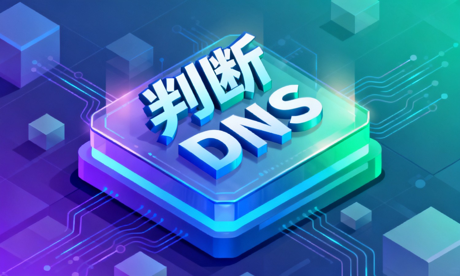 判断DNS