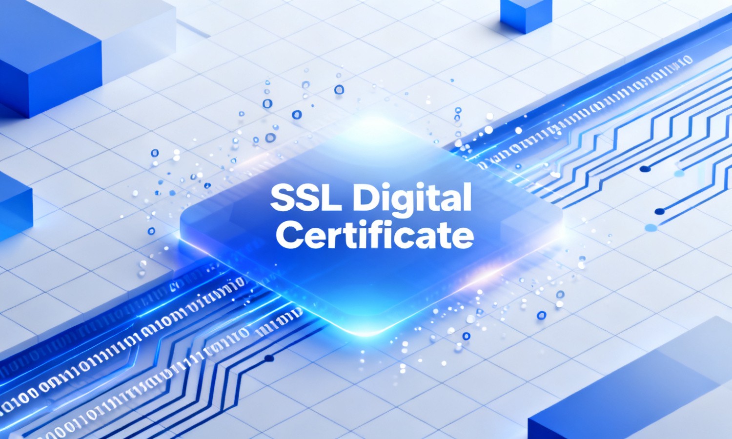 SSL Digital Certificate