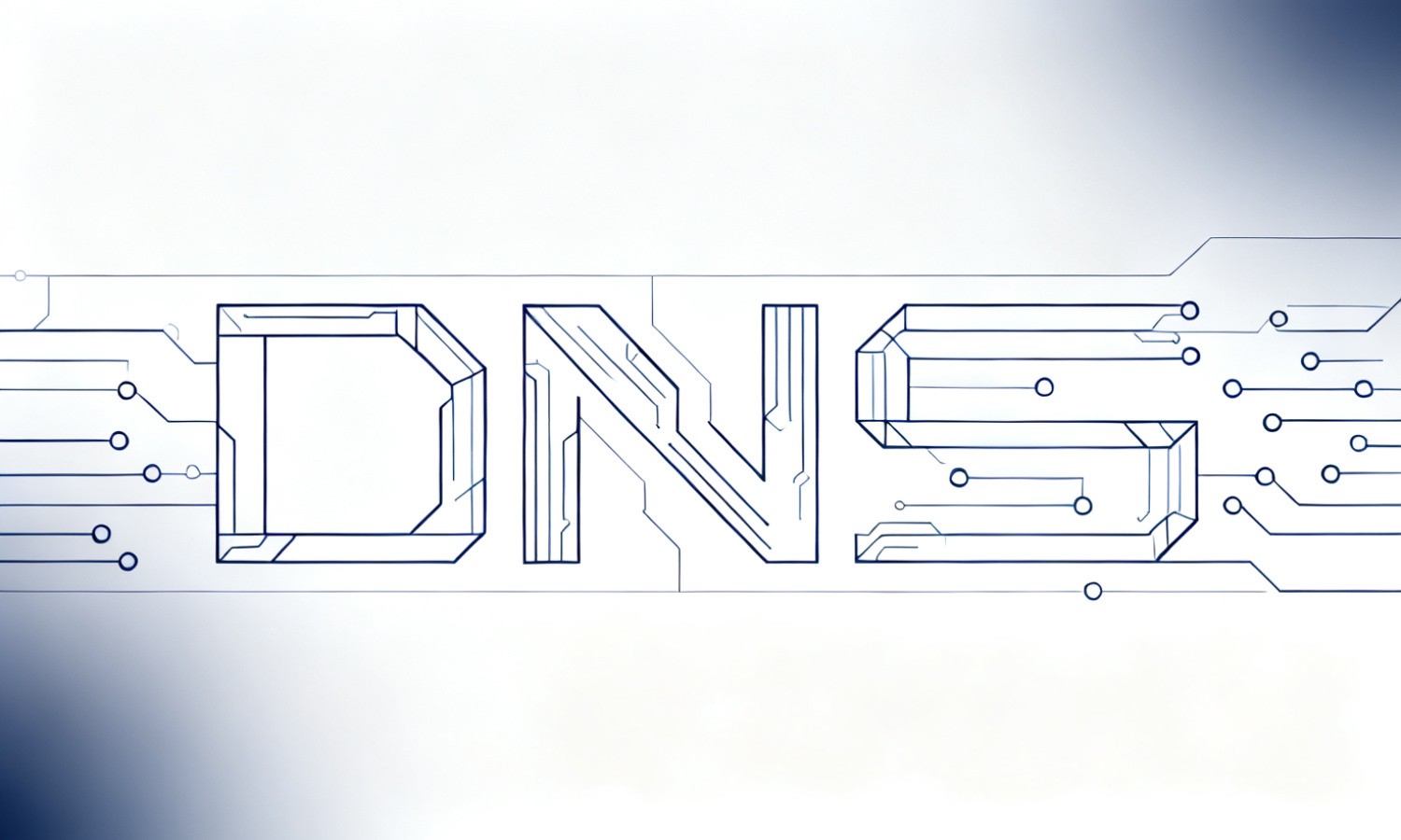 DNS检测