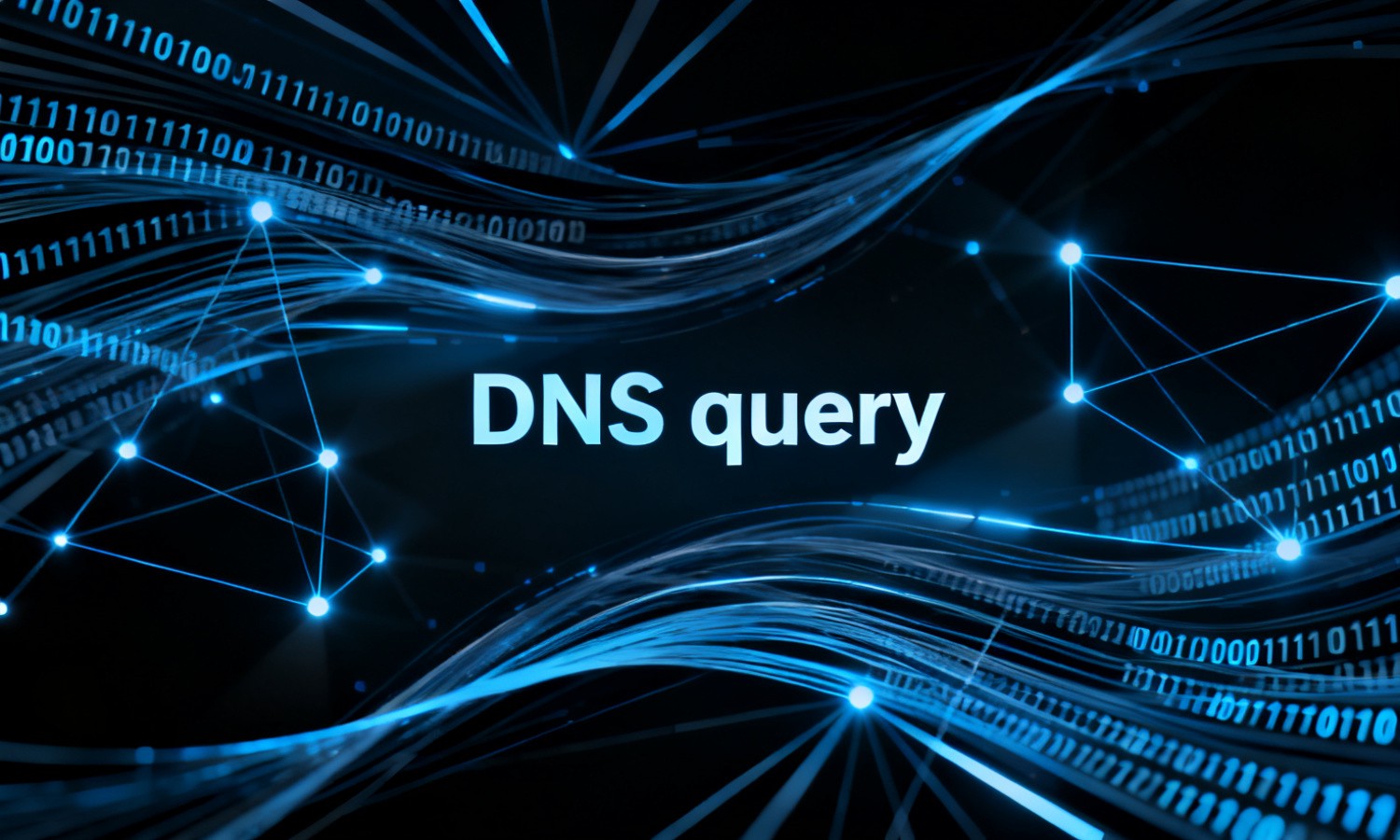 DNS query
