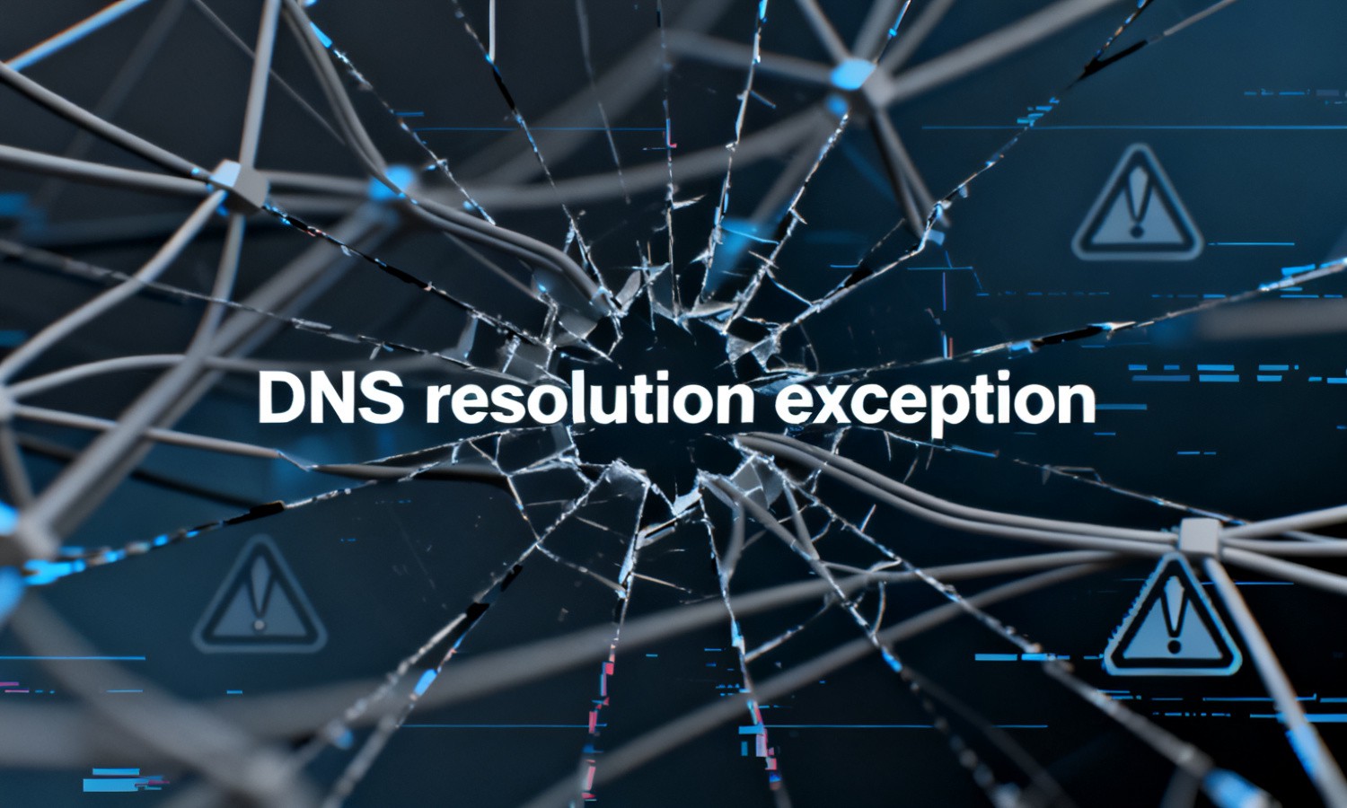 DNS resolution exception