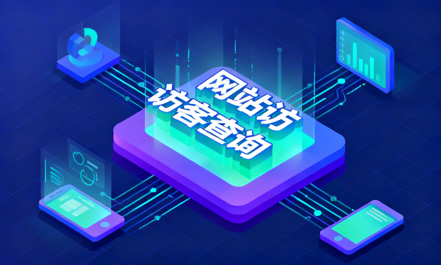 网站访客查询