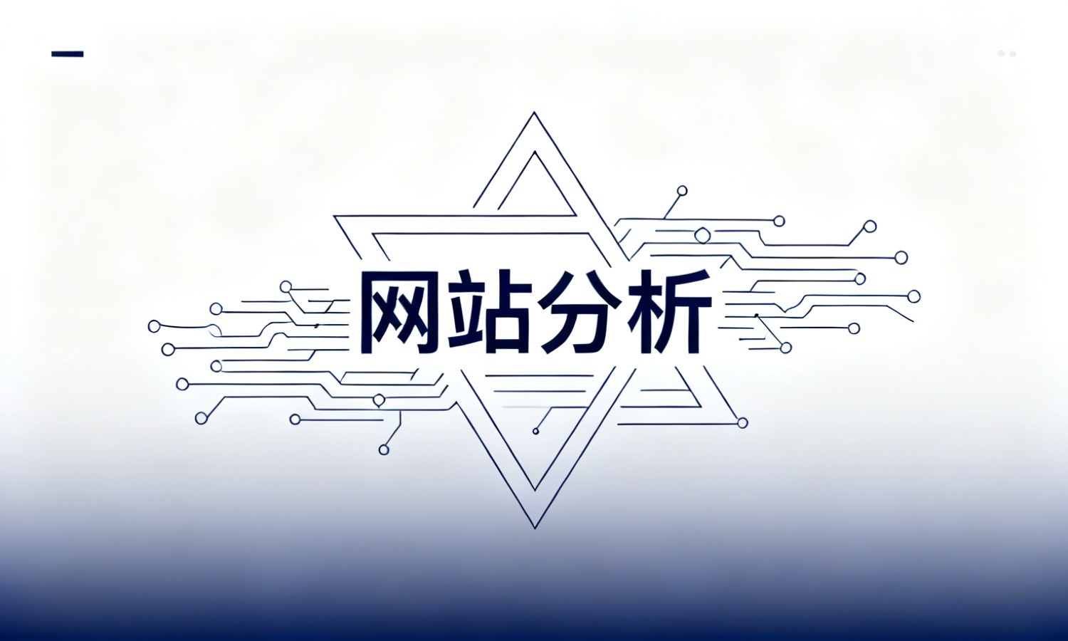 网站分析