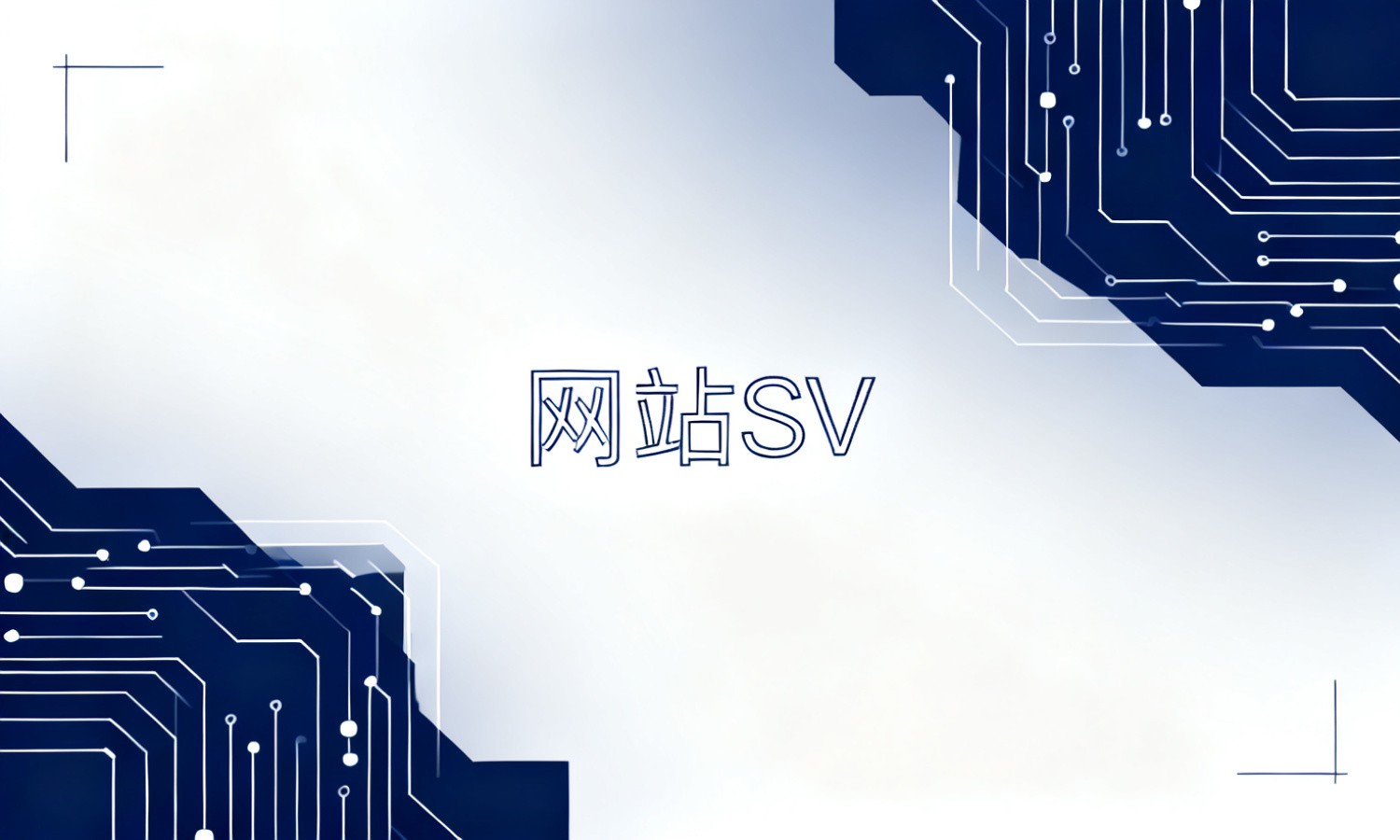 网站SV