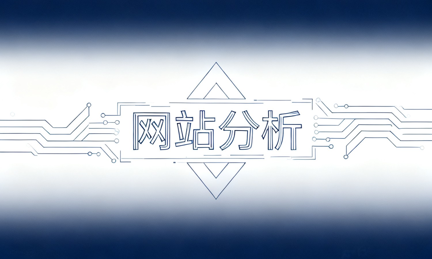 网站分析