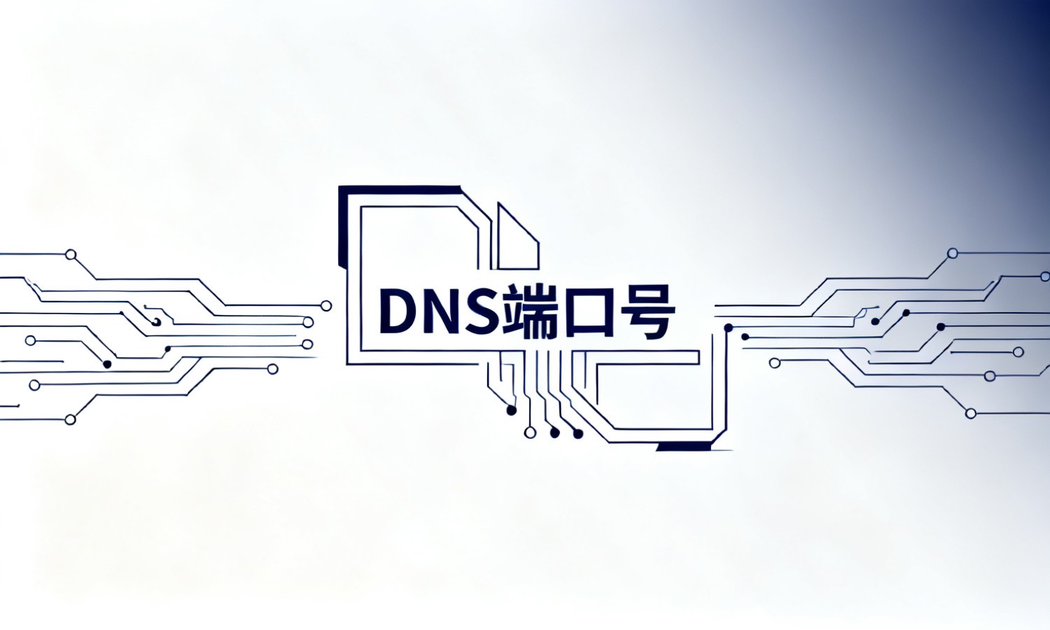 DNS端口号