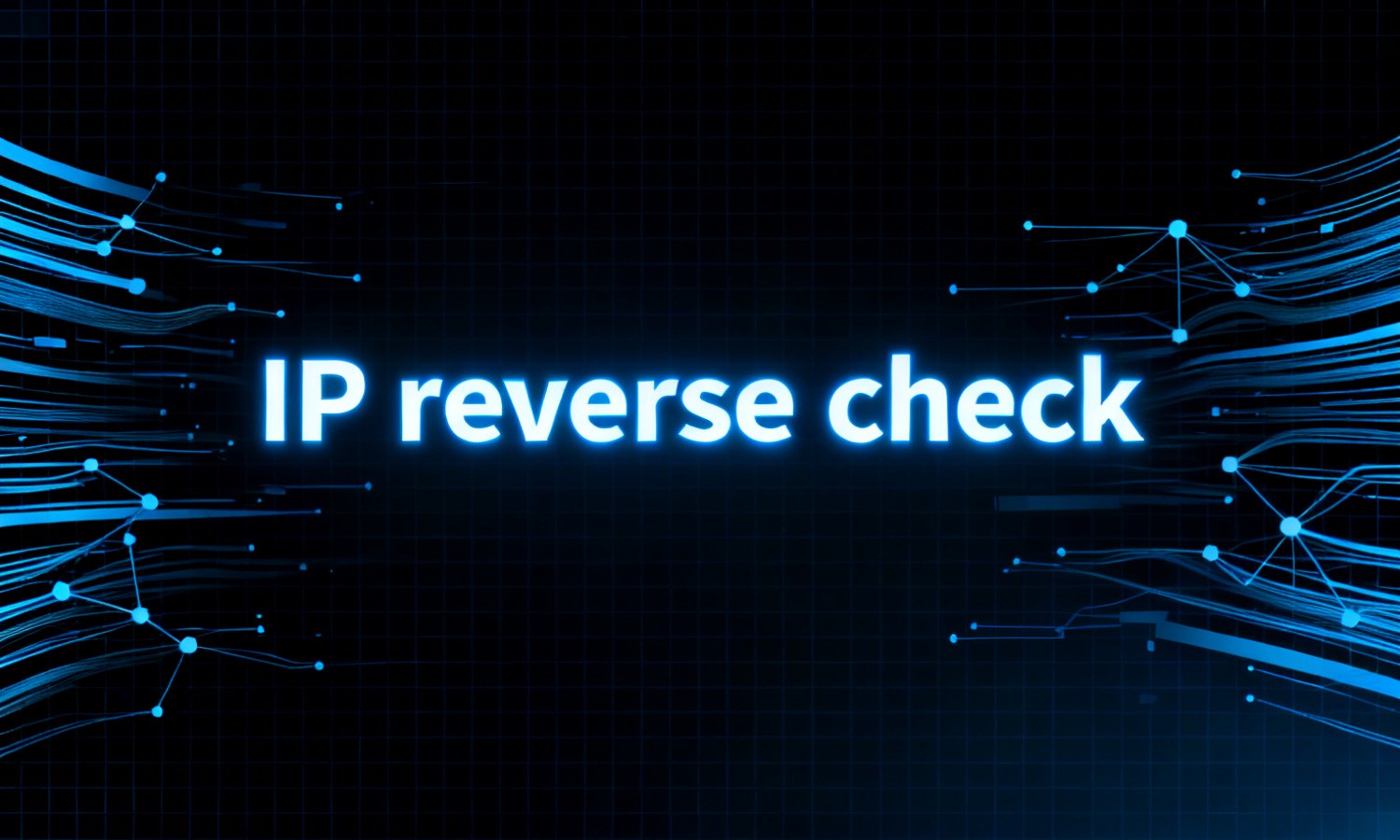 IP reverse check