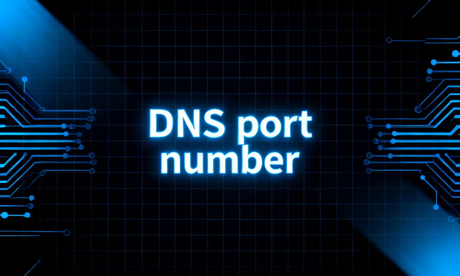 DNS port number