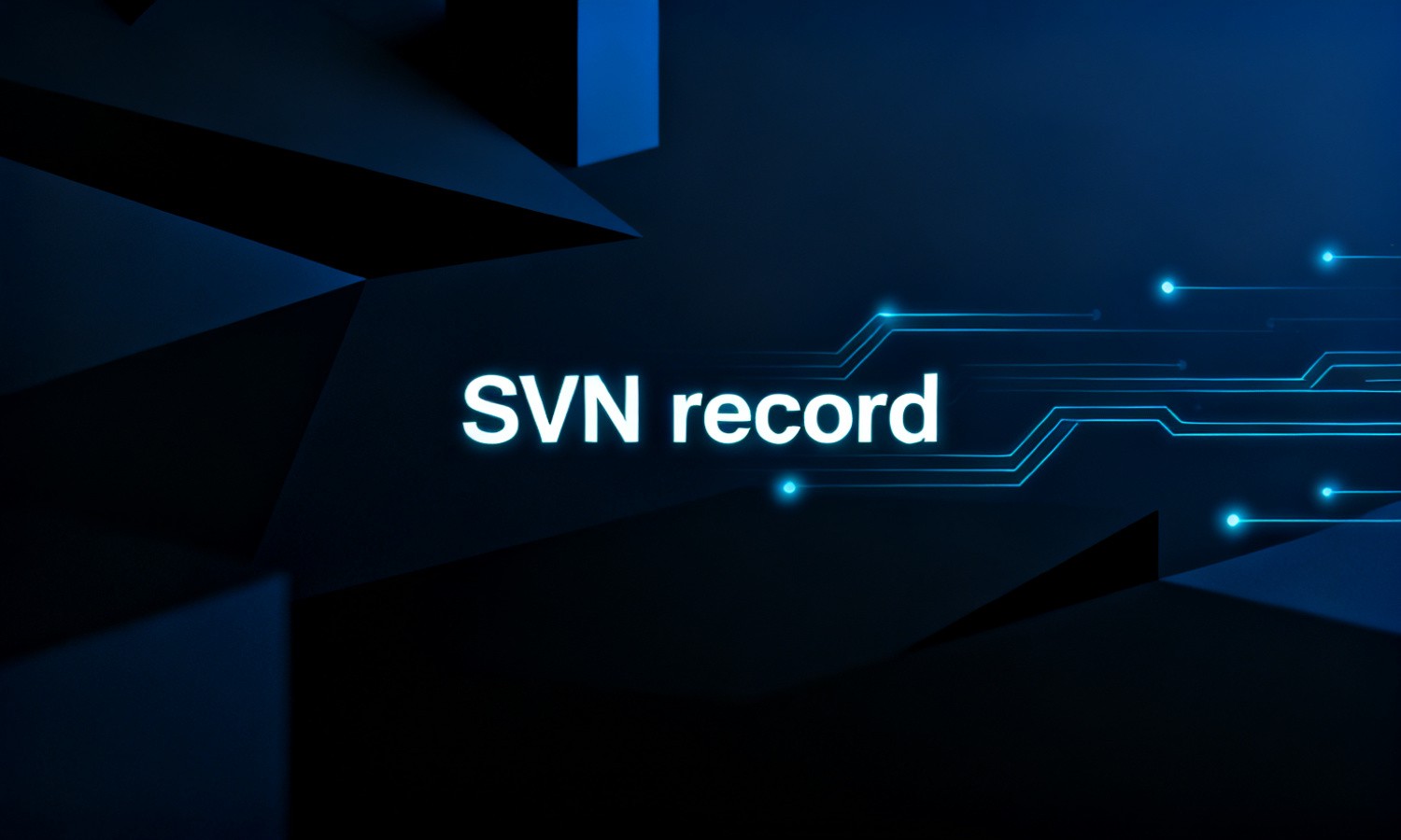 SVN record
