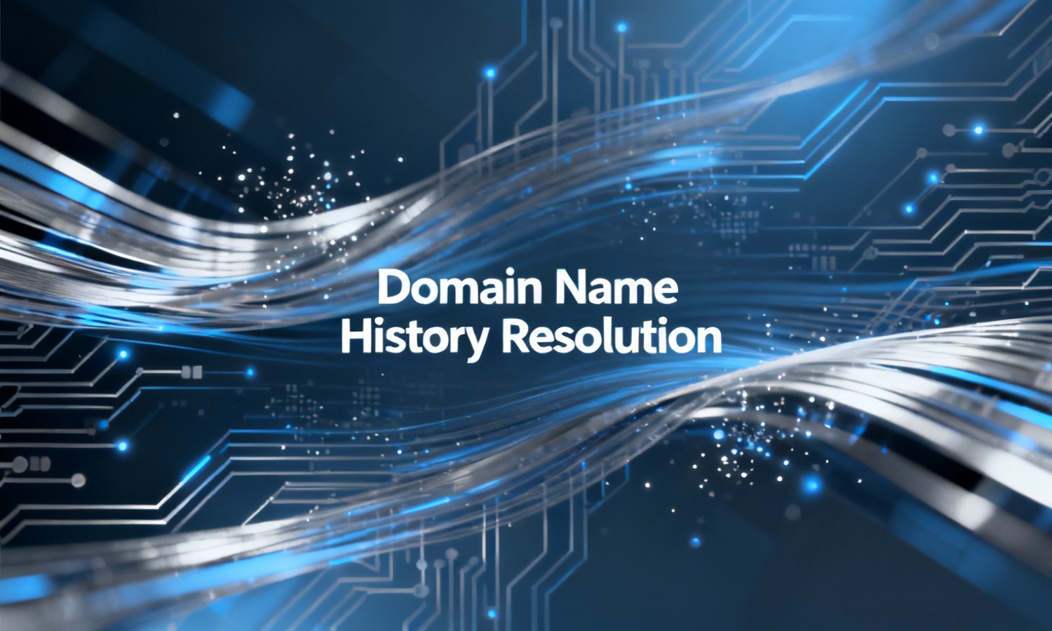 Domain Name History Resolution