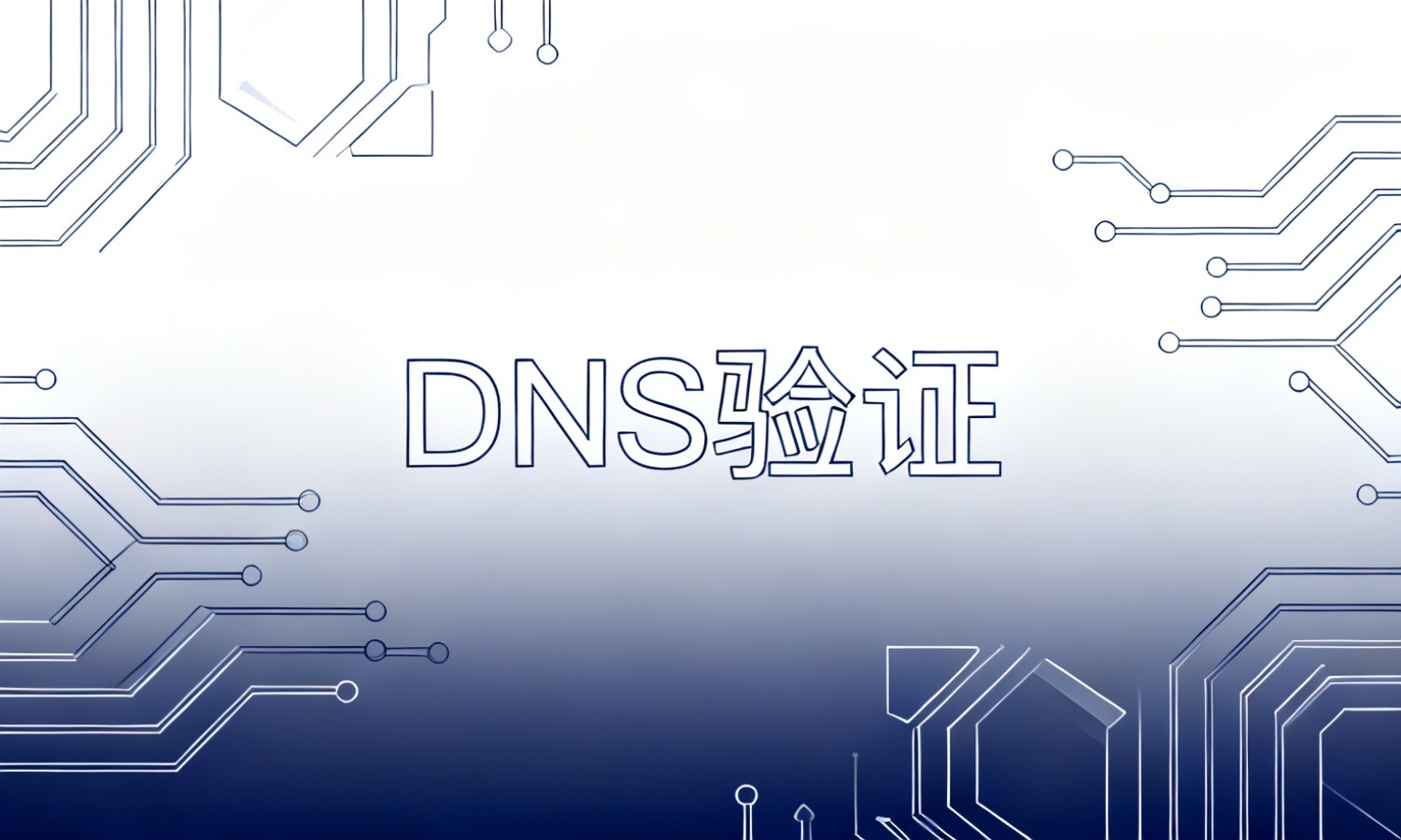 DNS验证