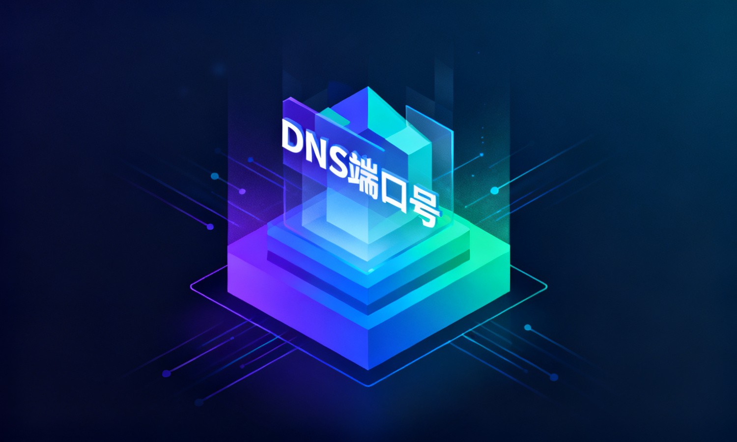 DNS端口号