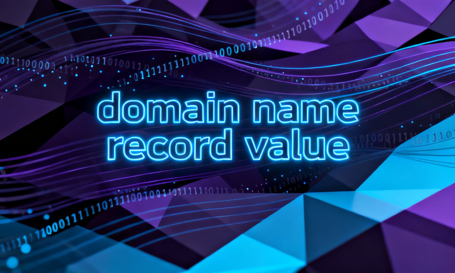 domain name record value
