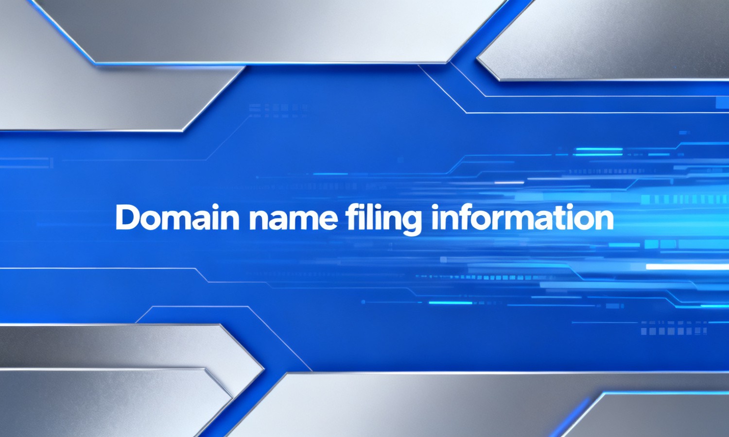 Domain name filing information