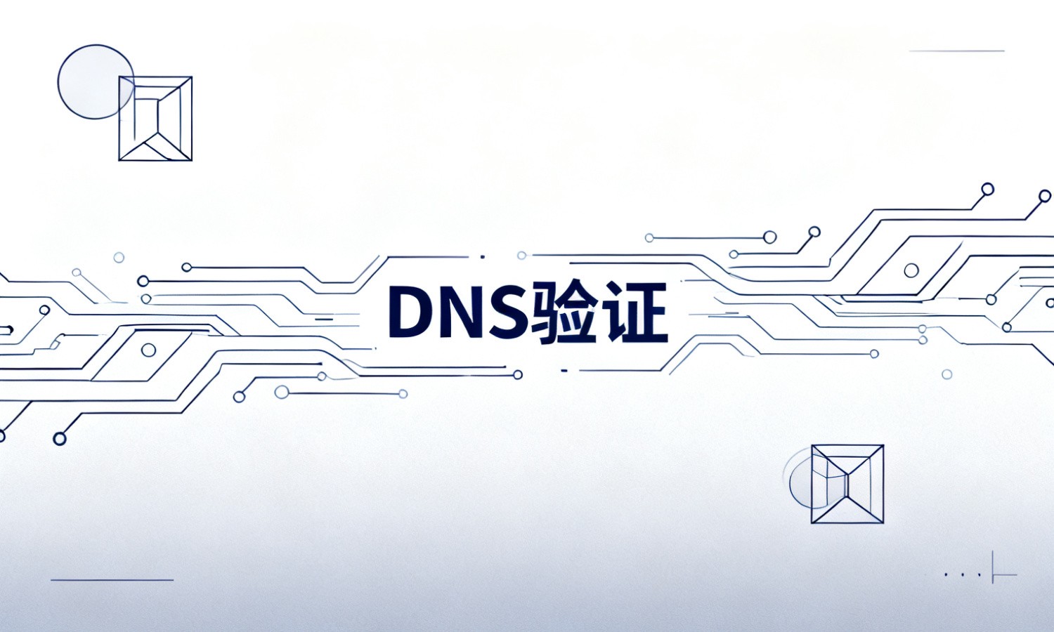 DNS验证