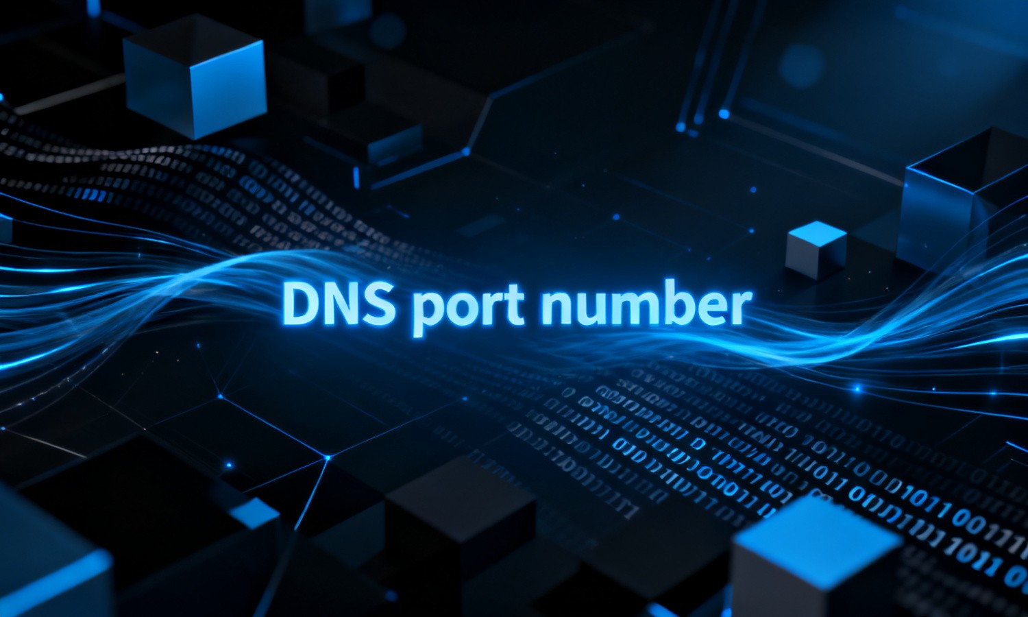 DNS port number