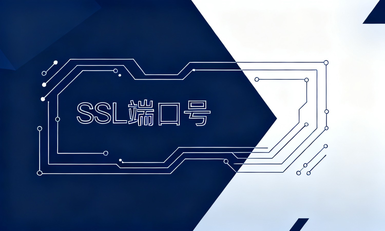 SSL端口号