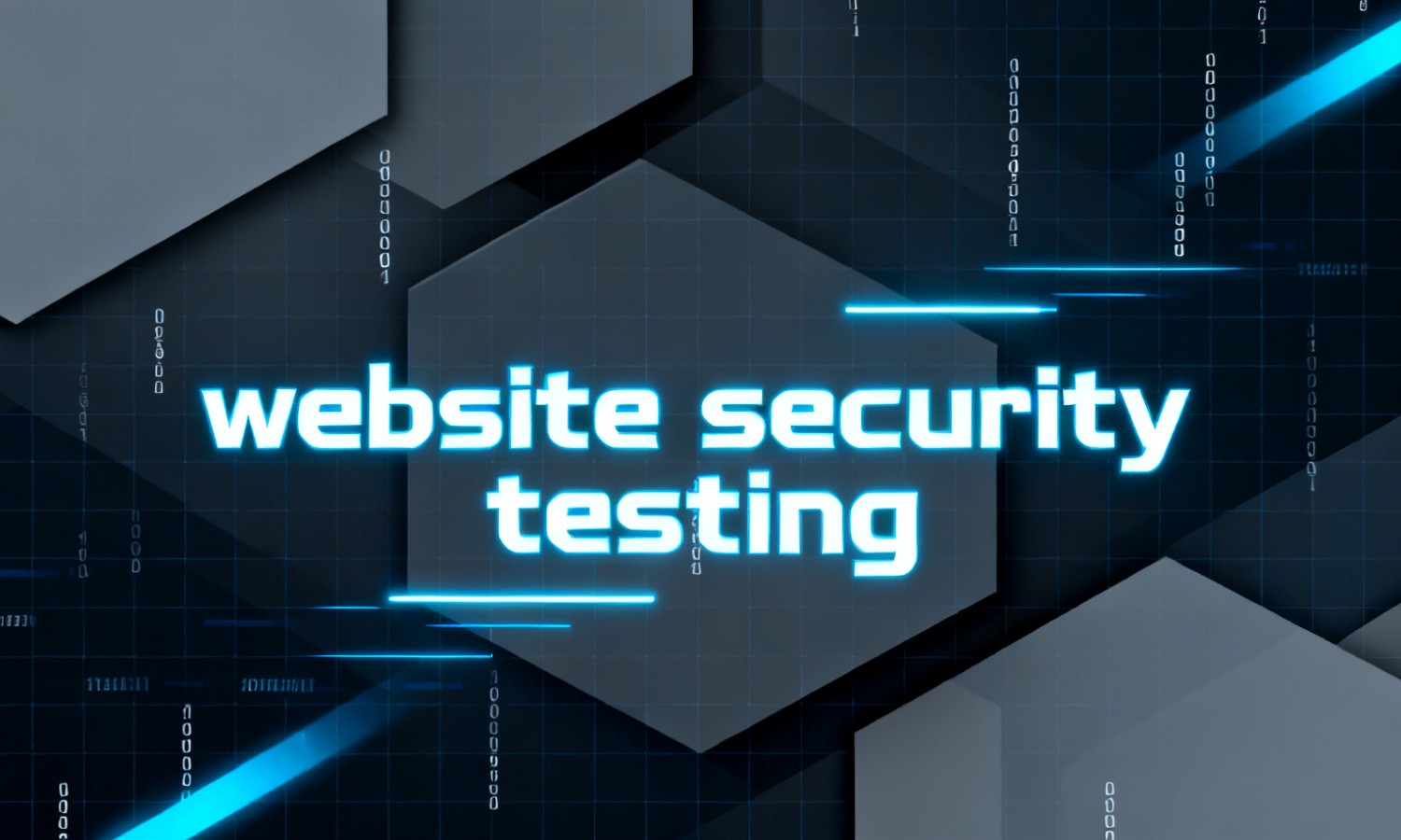 Website security testing