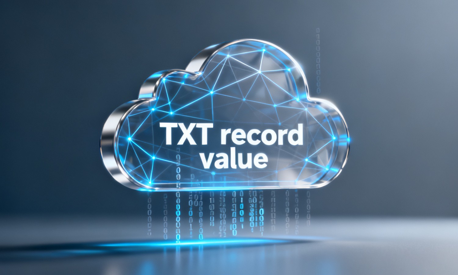 TXT record value