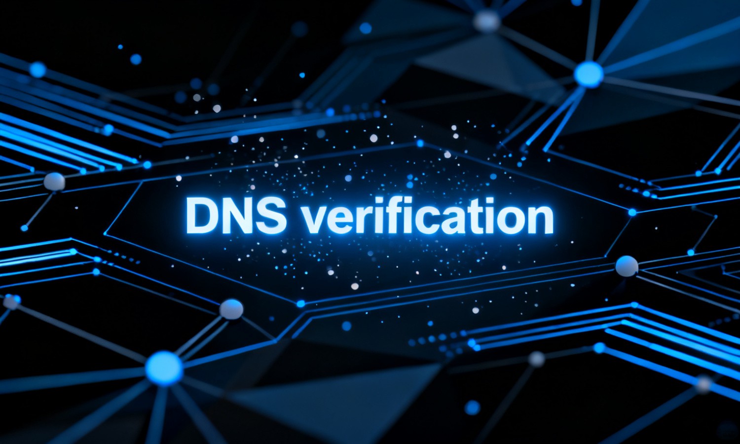DNS verification