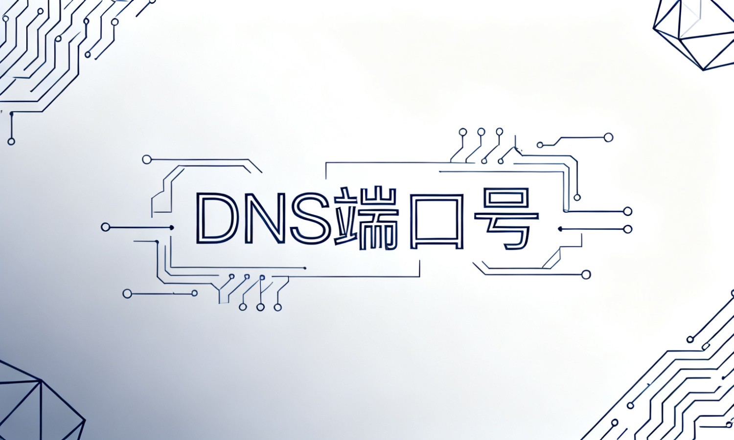 DNS端口号