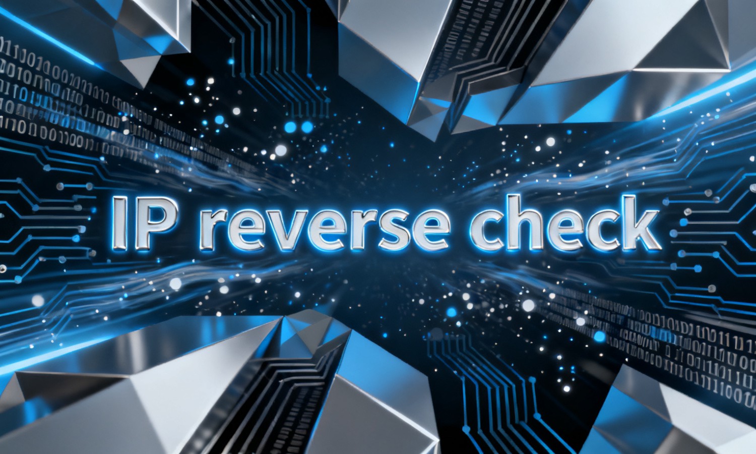 IP reverse check