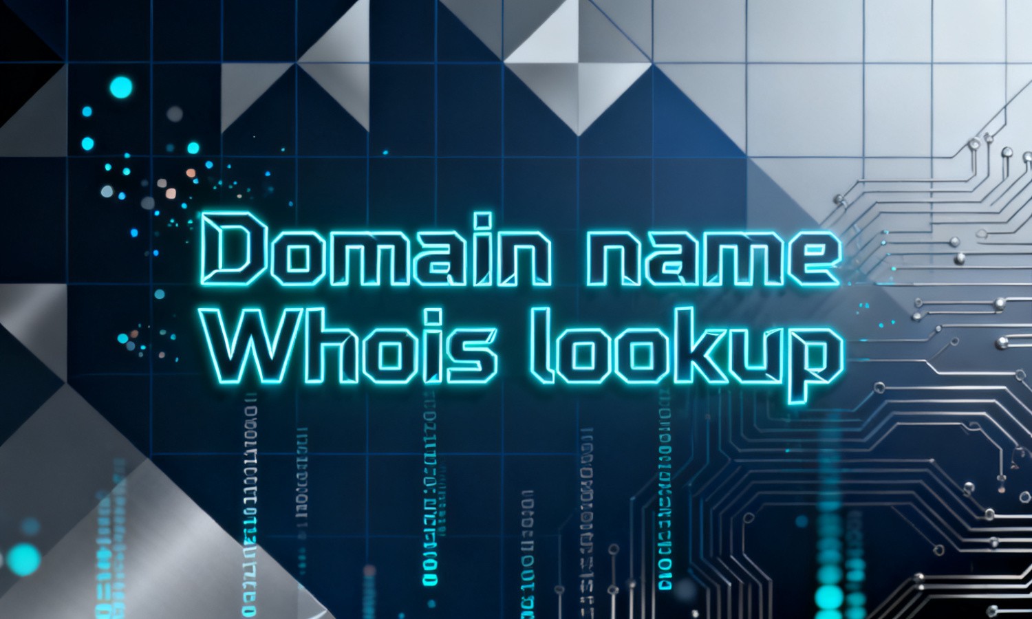 Domain name Whois lookup