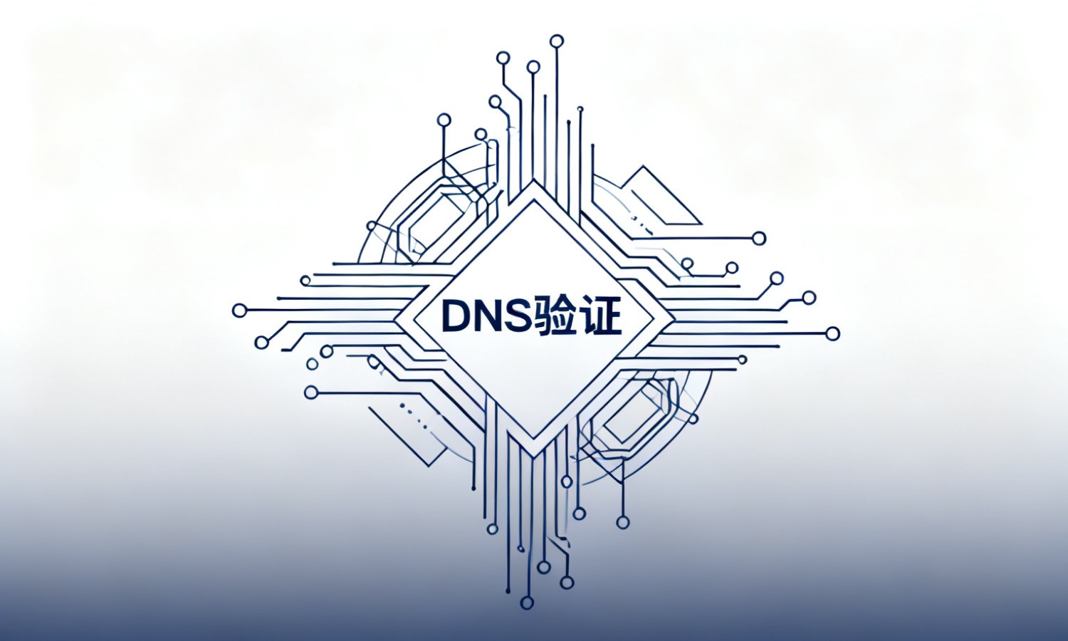 DNS验证