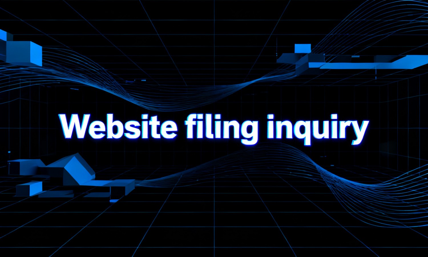 Website filing inquiry