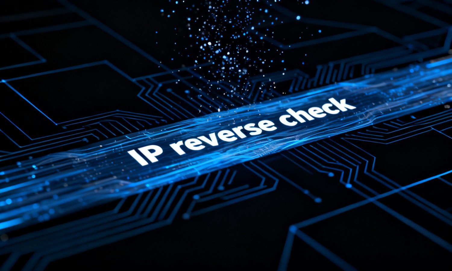 IP reverse check