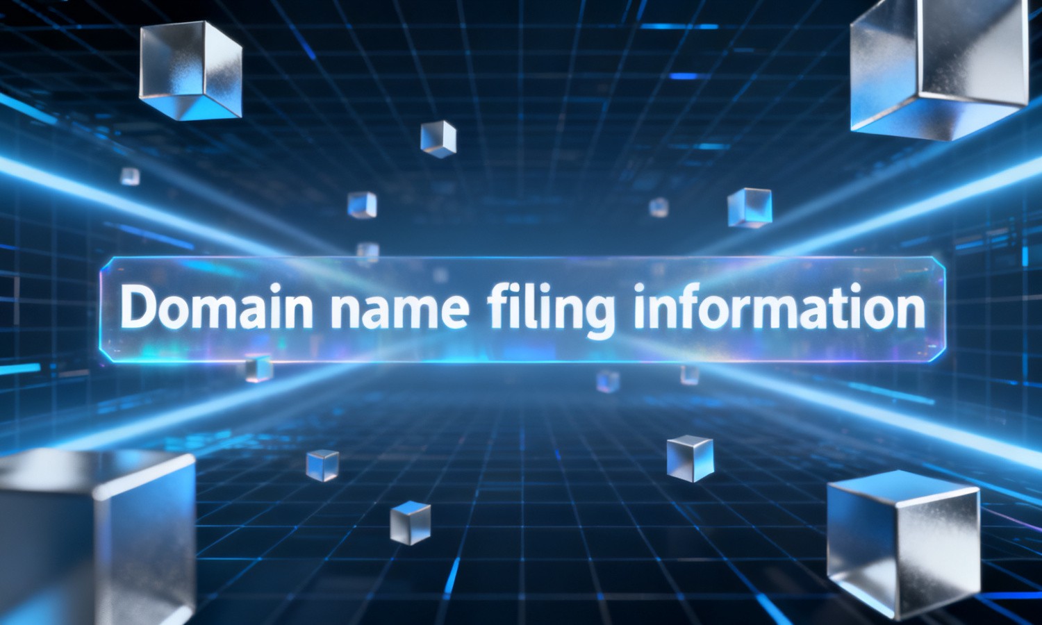Domain name filing information