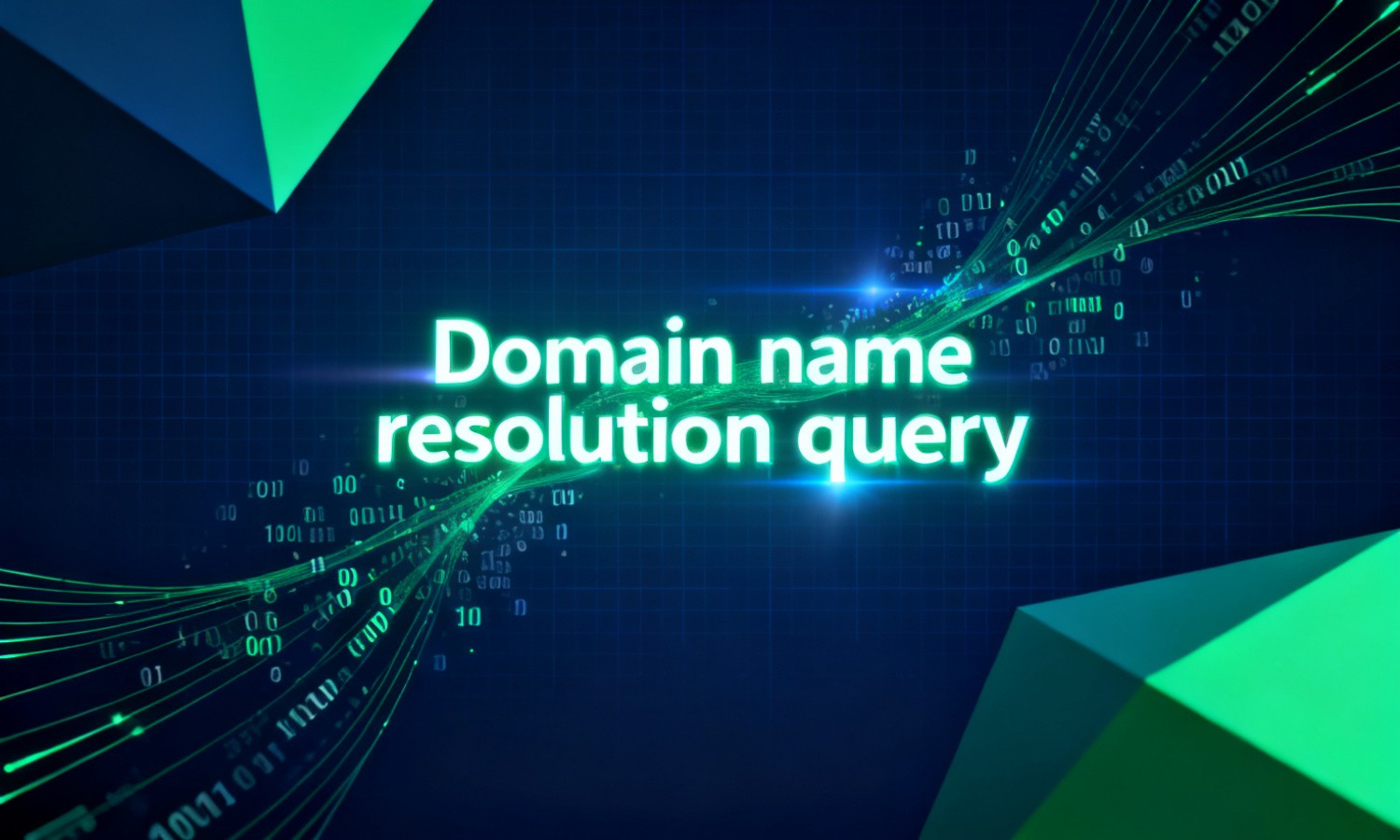 Domain name resolution query