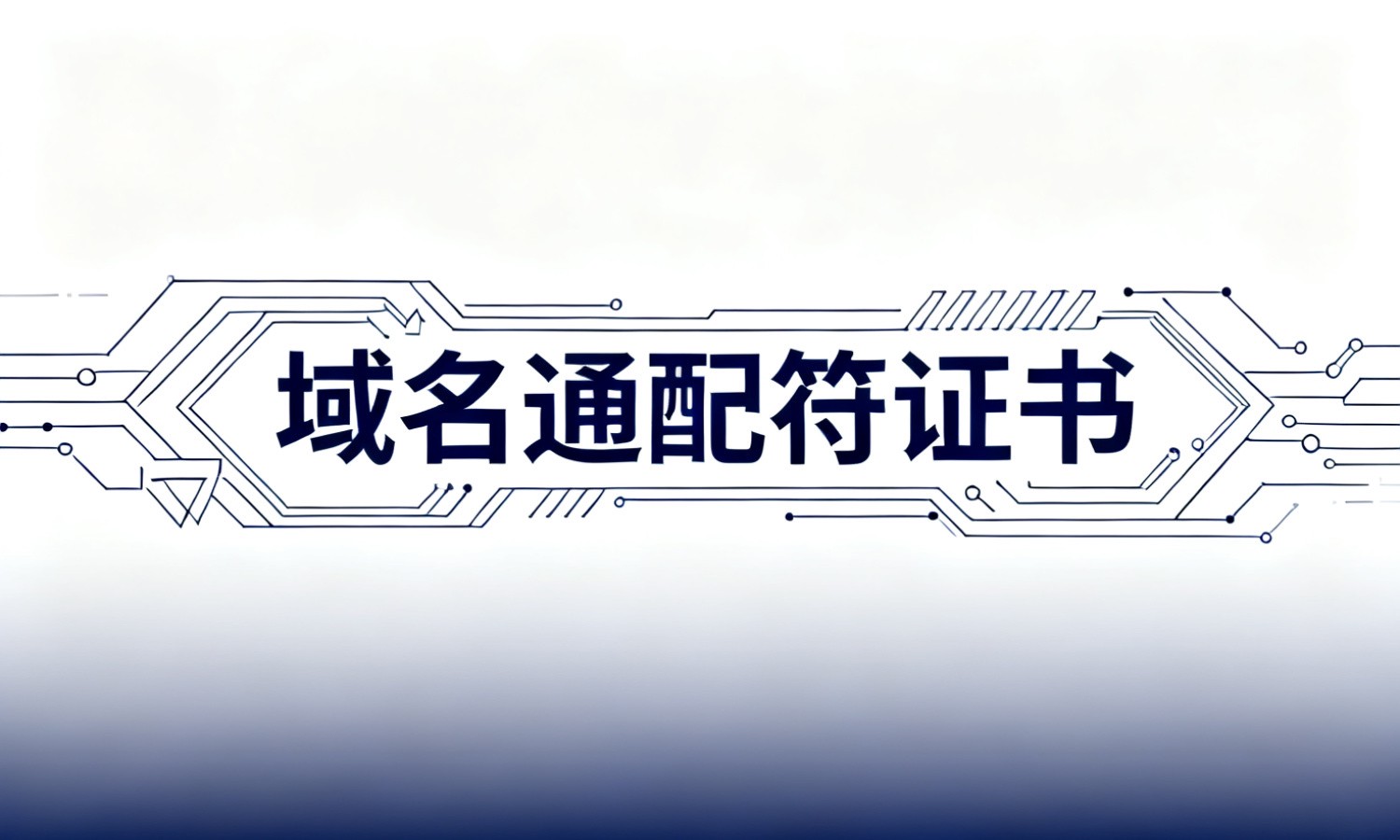 域名通配符证书