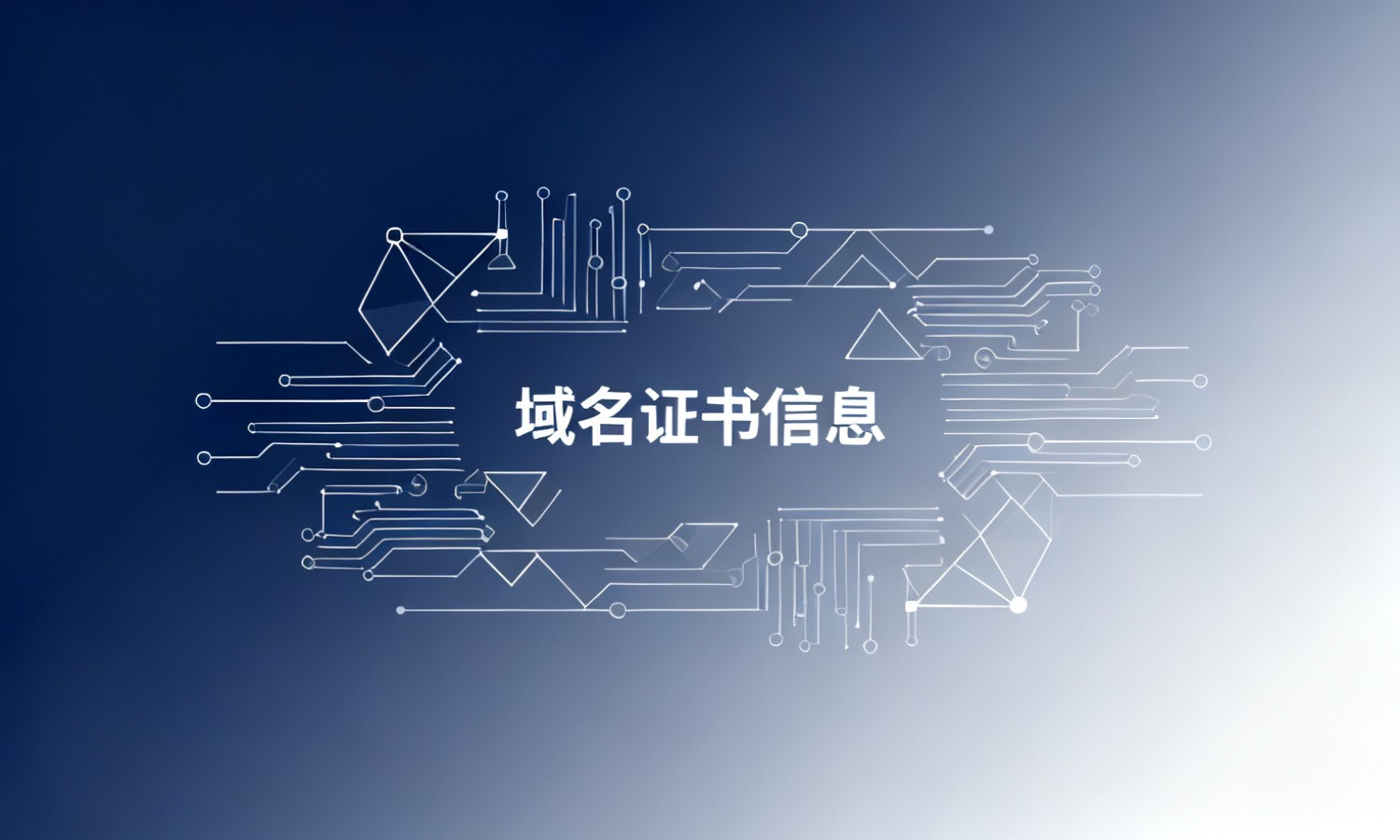 域名证书信息