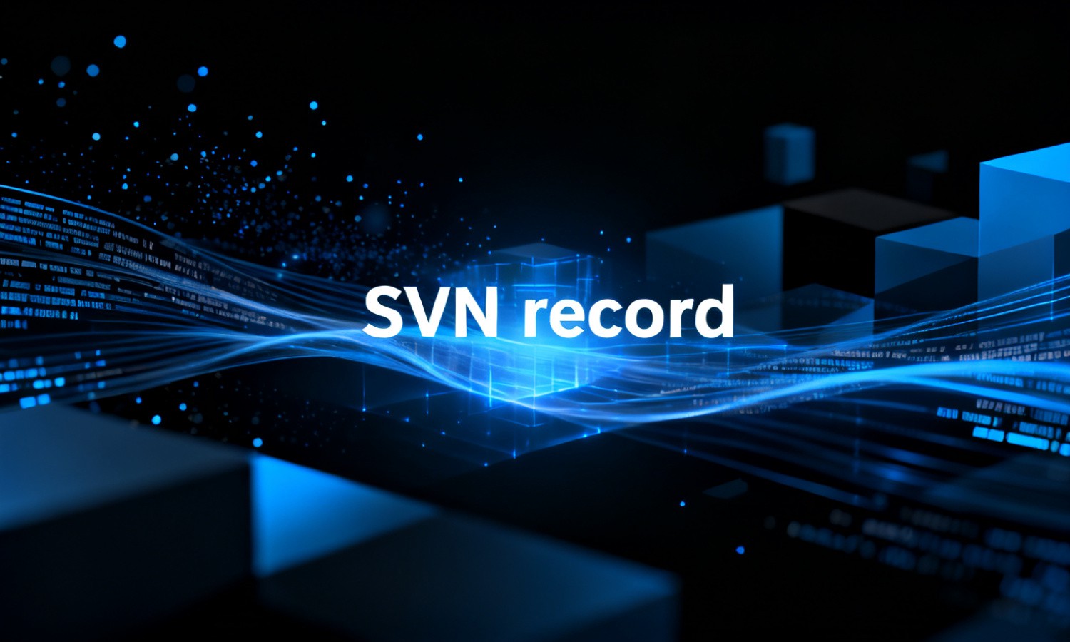 SVN record