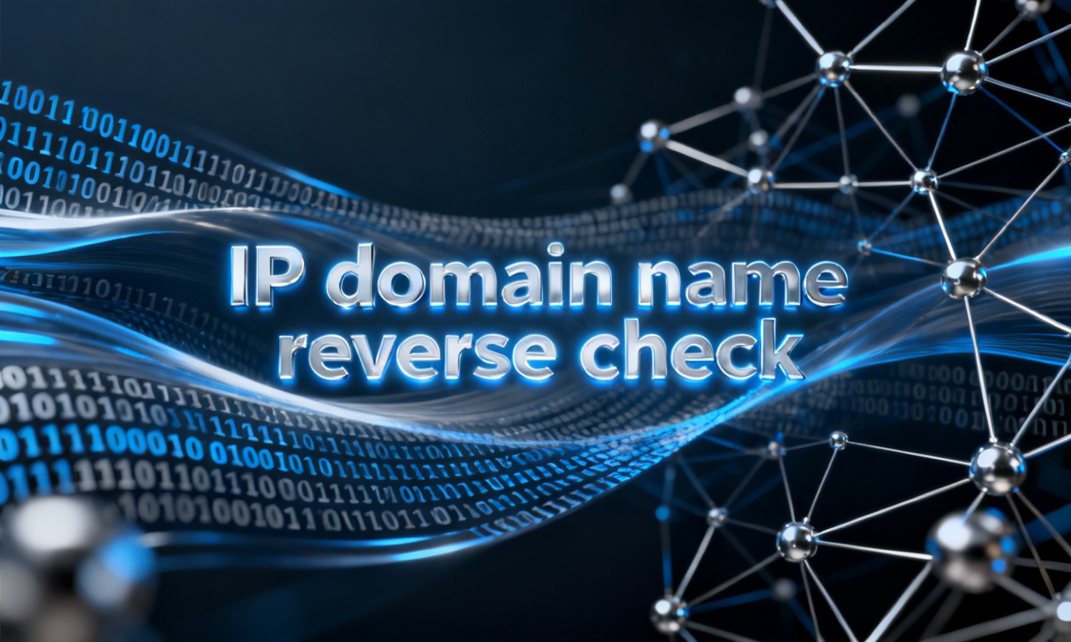 IP domain name reverse check