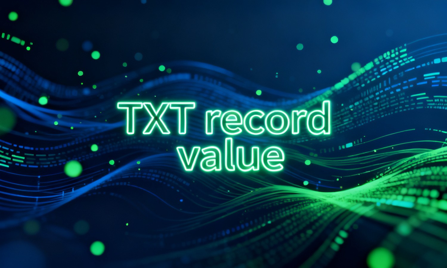 TXT record value