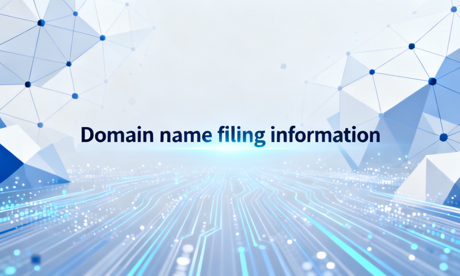 Domain name filing information